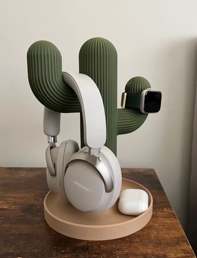 Cactus Tech Organizer
